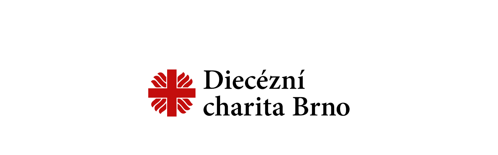 Logo Diecézní charita Brno